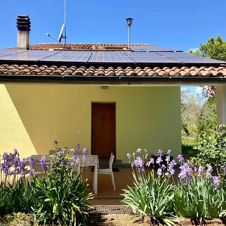 Verdi Abbracci * Corchiano