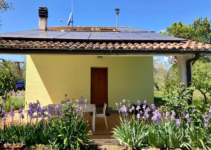 Verdi Abbracci * Corchiano