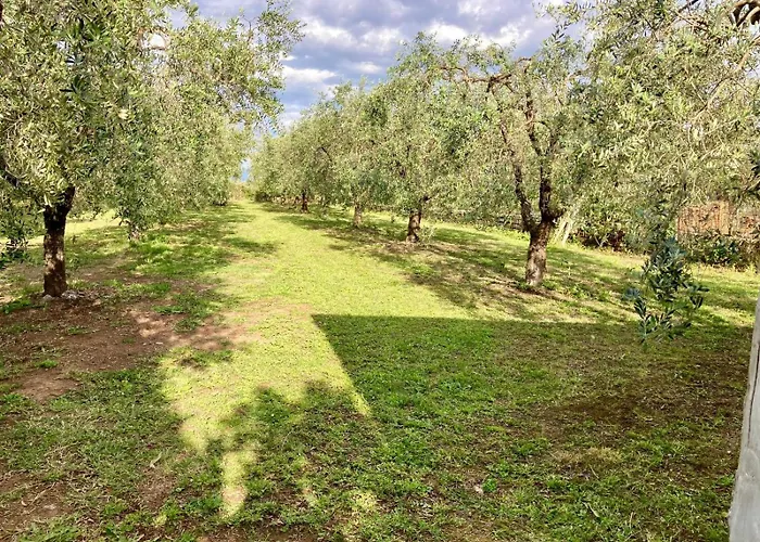 Verdi Abbracci Nyaraló *
